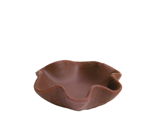 TULIPAchoco1