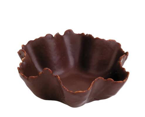 TULIPAchoco2