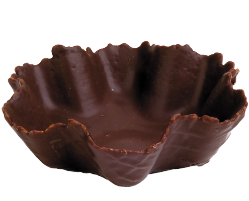 TULIPAchoco3